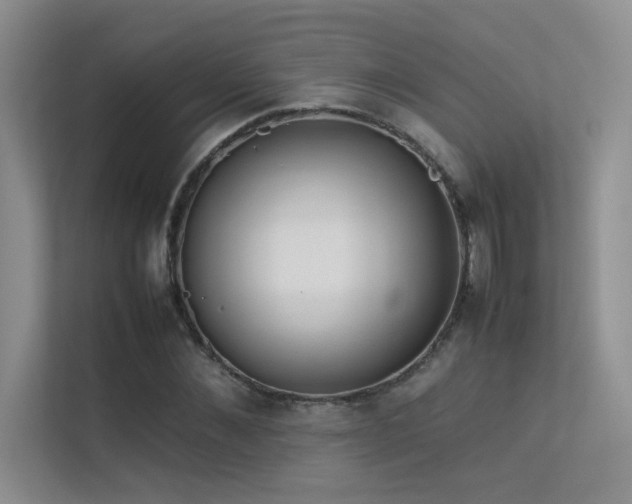X0000113350876200909151151