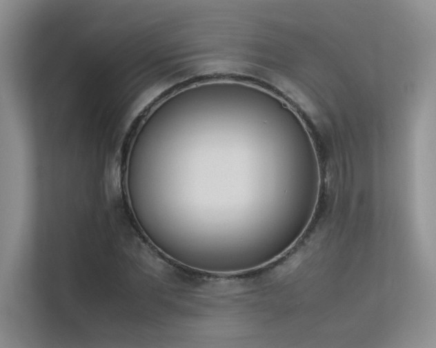 X0000113350877200909151151
