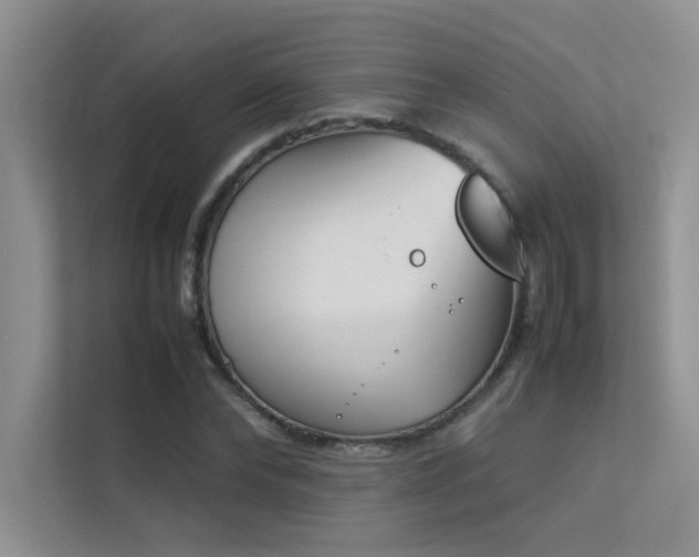 X0000113350878200909151151