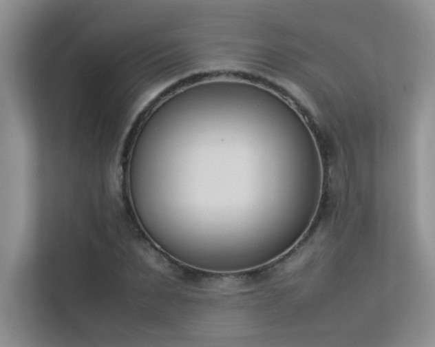 X0000113350879200909151151