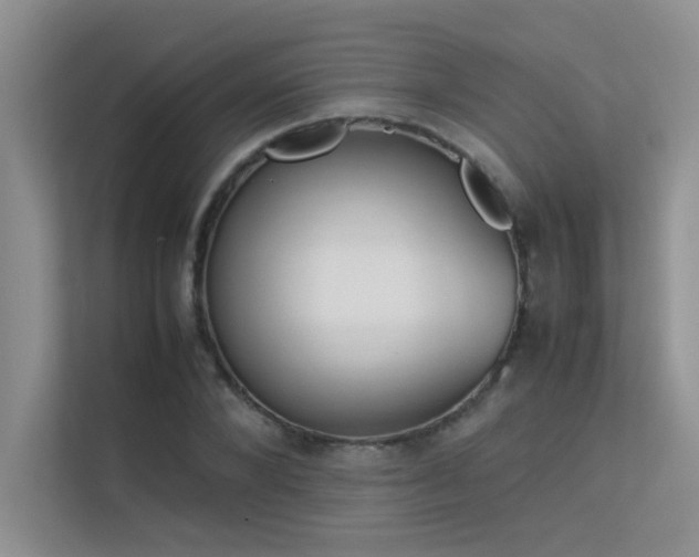 X0000113350880200909151151