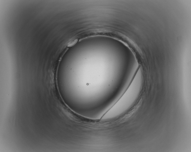 X0000113350881200909151151