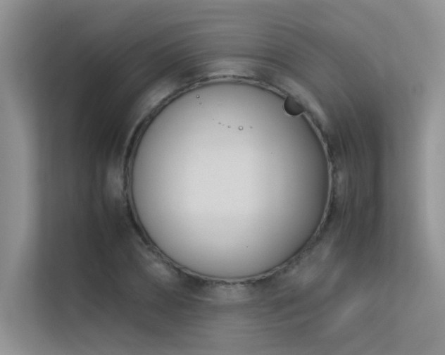 X0000113350882200909151151