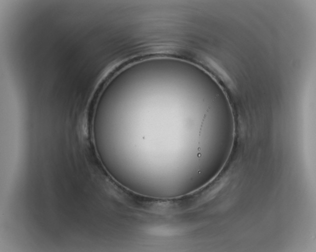X0000113350883200909151151