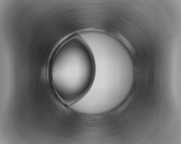 X0000113350884200909151151