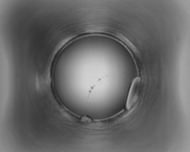 X0000113350885200909151151