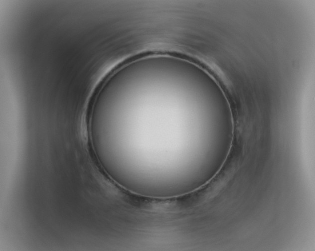 X0000113350887200909151151