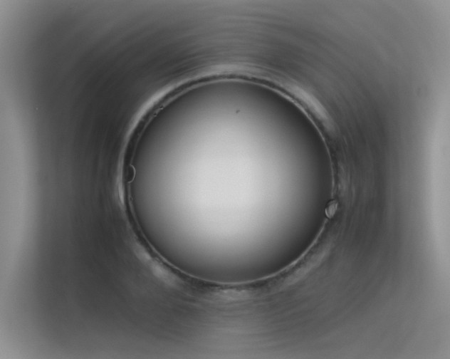 X0000113350888200909151151