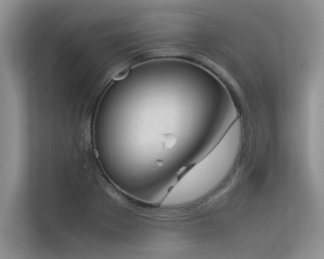 X0000113350889200909151151