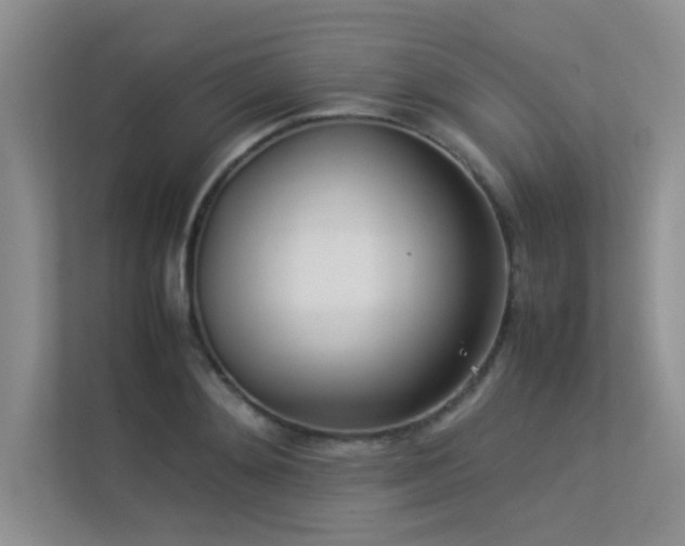 X0000113350892200909151151