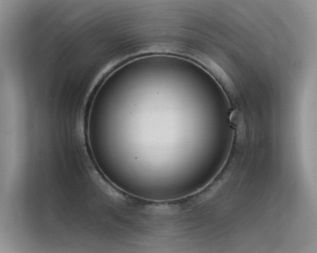 X0000113350896200909151151