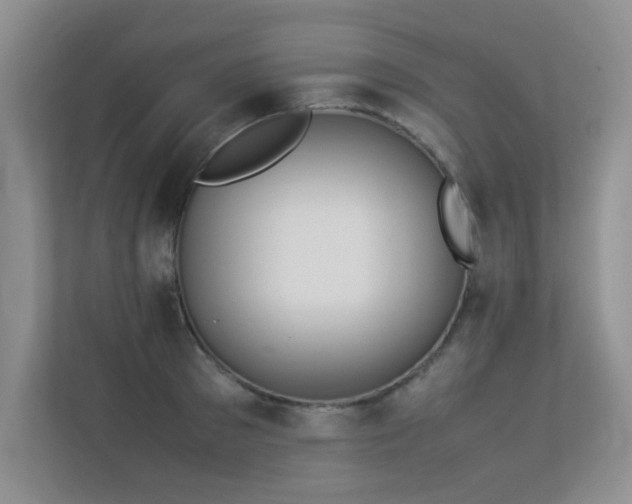 X0000113350897200909151151