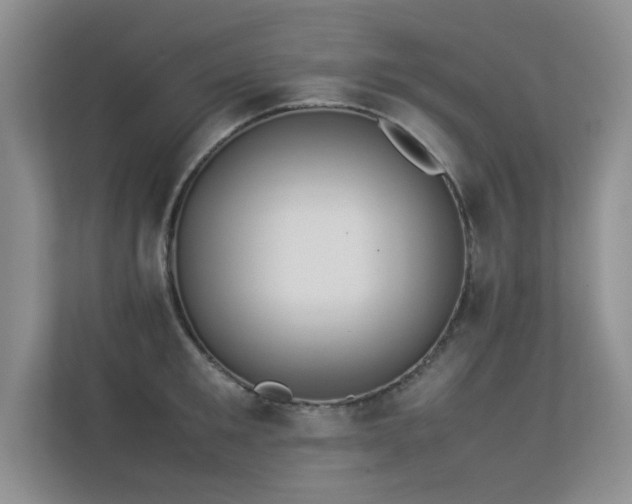 X0000113350901200909151151