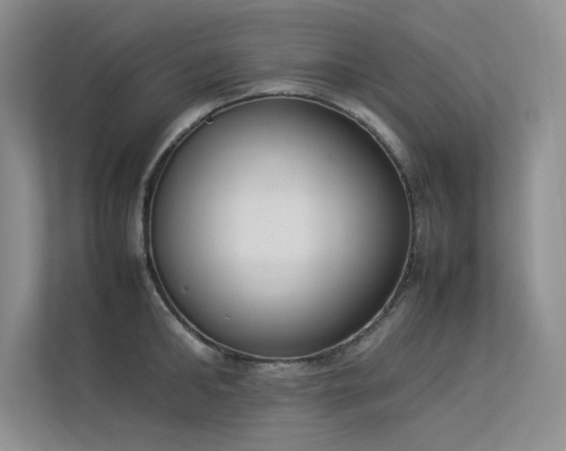 X0000113350902200909151151