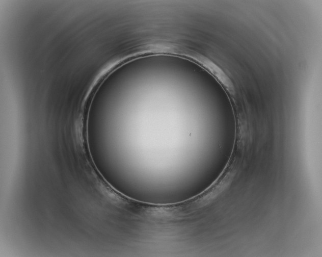 X0000113350904200909151151