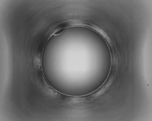 X0000113350905200909151151