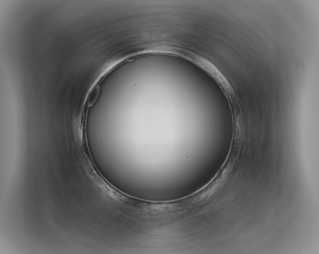 X0000113350908200909151151