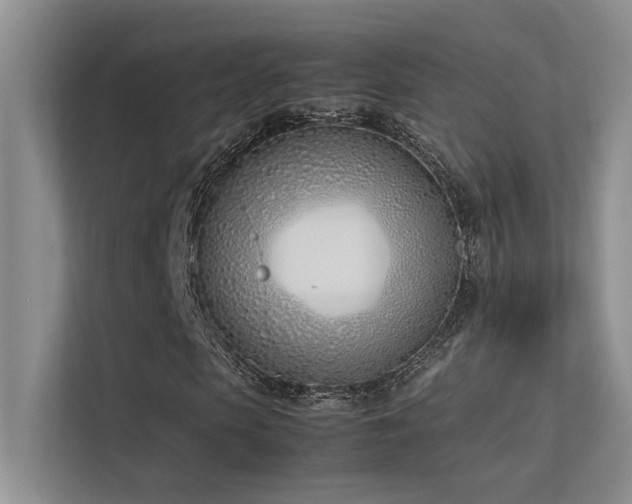 X0000113350913200909151150