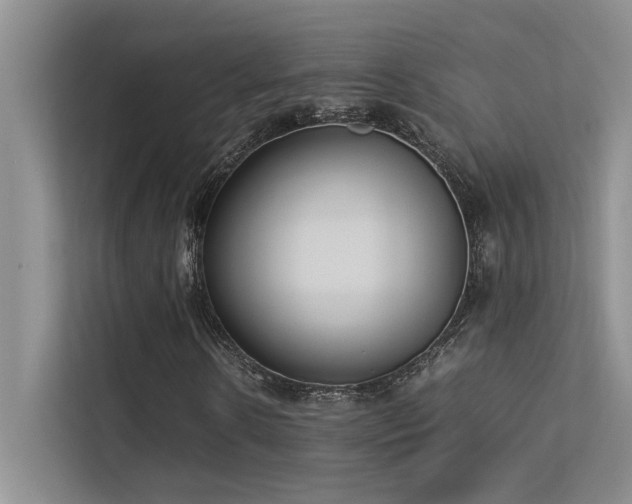 X0000113350914200909151150