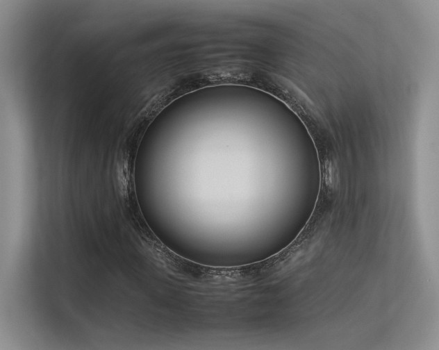 X0000113350915200909151150