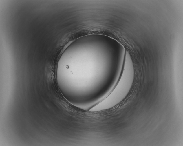 X0000113350916200909151150