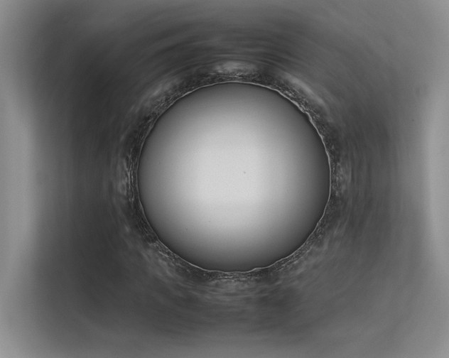 X0000113350917200909151150