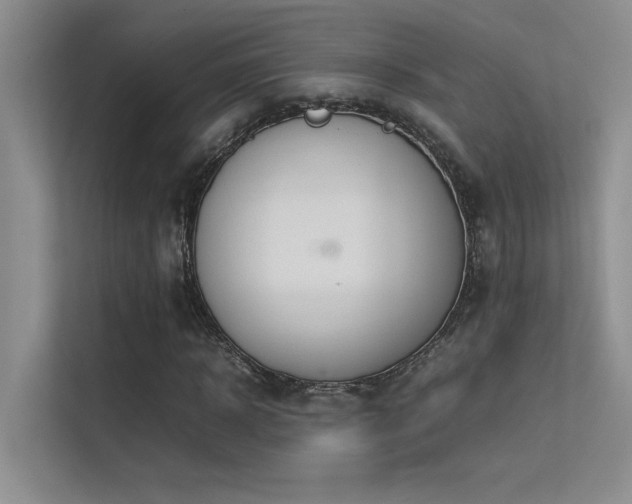 X0000113350918200909151150
