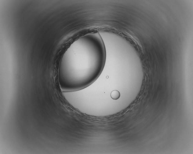 X0000113350920200909151150