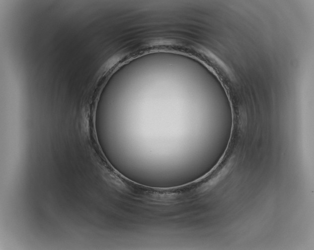 X0000113350921200909151150