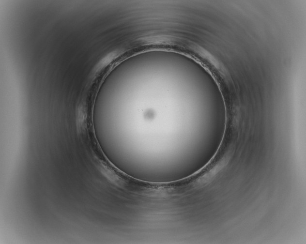 X0000113350922200909151150