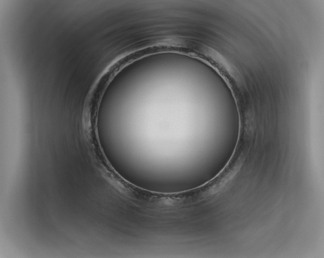 X0000113350923200909151150