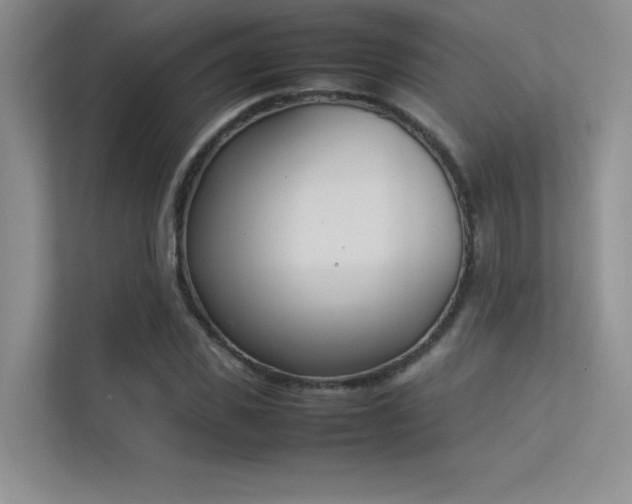 X0000113350925200909151150