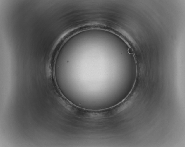 X0000113350927200909151150