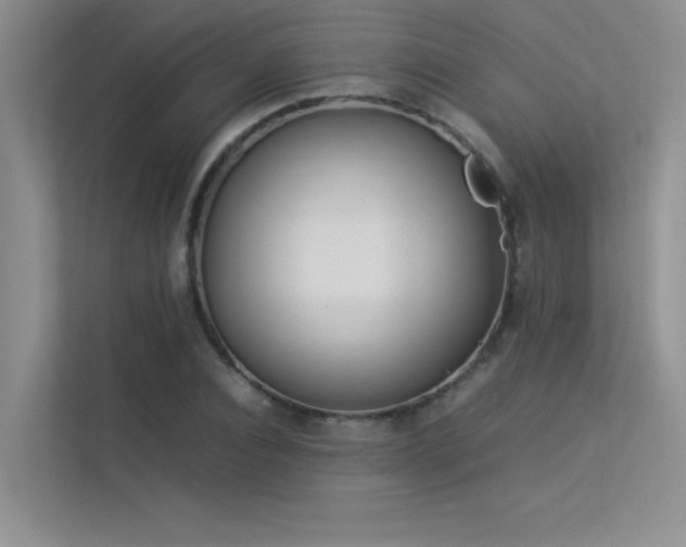 X0000113350928200909151150