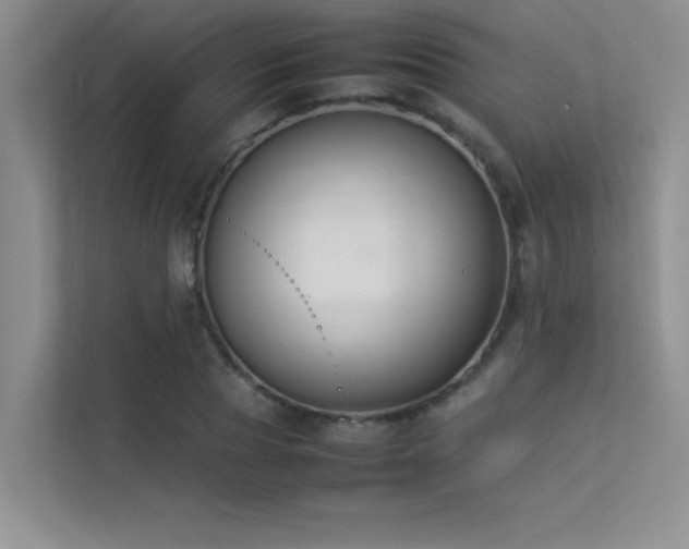 X0000113350929200909151150