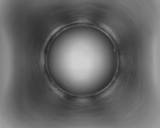 X0000113350931200909151150