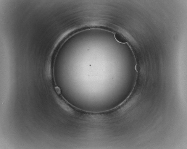 X0000113350934200909151150
