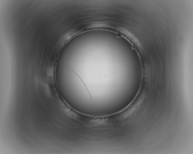 X0000113350937200909151151