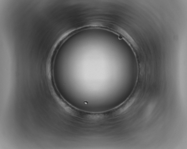 X0000113350939200909151151