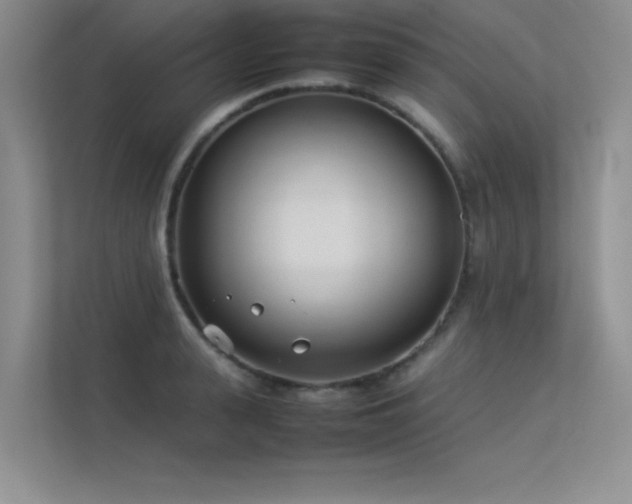 X0000113350943200909151151