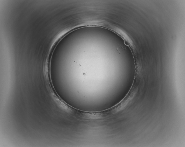 X0000113350952200909151151