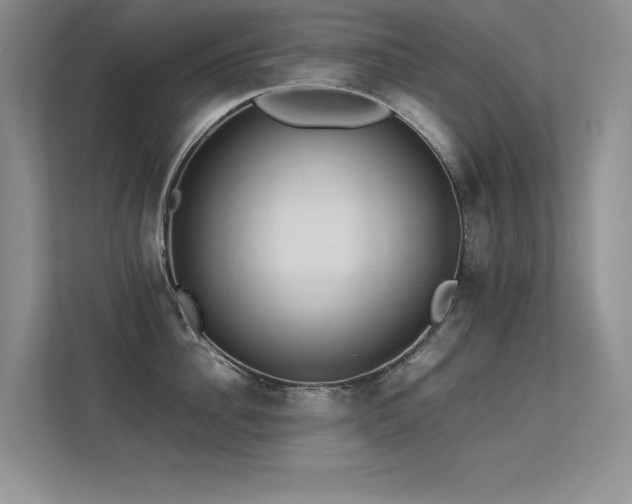 X0000113350956200909151151