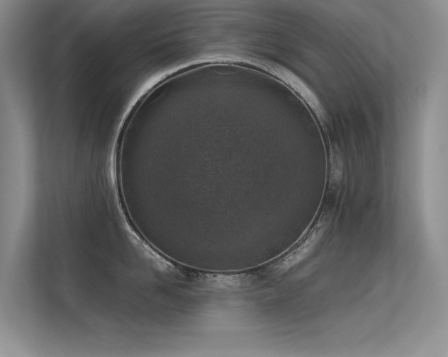 X0000113350958200909151151