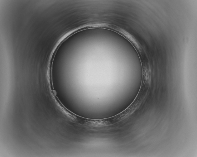 X0000113350959200909151151