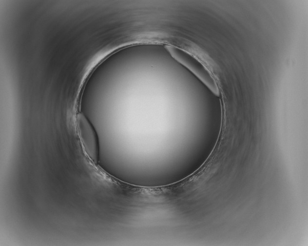 X0000113350960200909151151