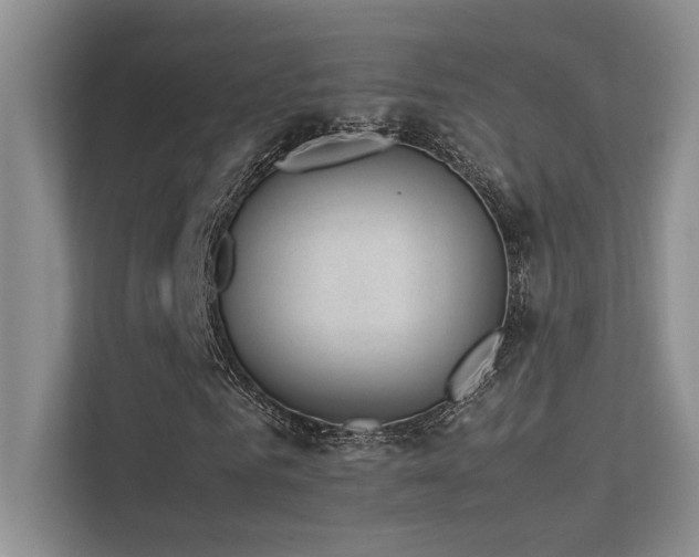X0000113350961200909151150