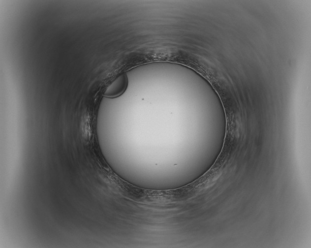 X0000113350962200909151150