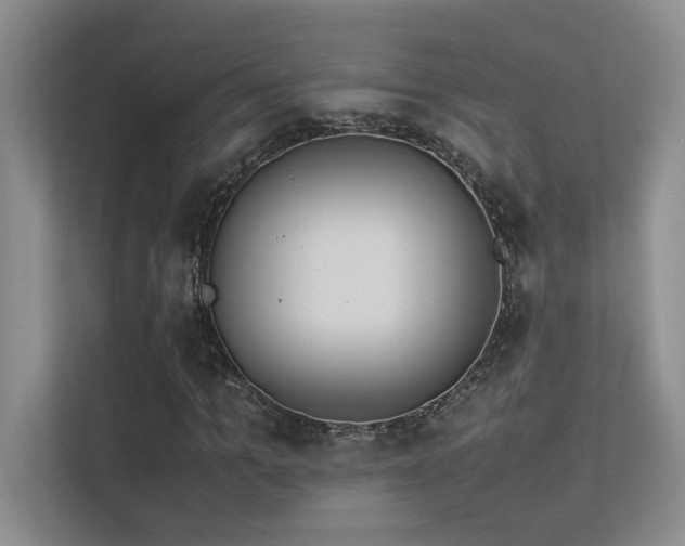 X0000113350965200909151150