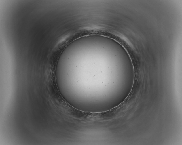X0000113350967200909151150