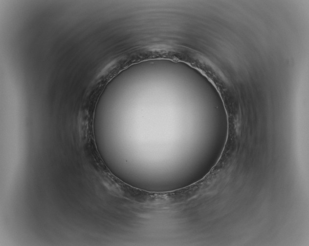 X0000113350968200909151150